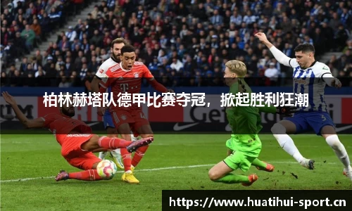 华体会体育